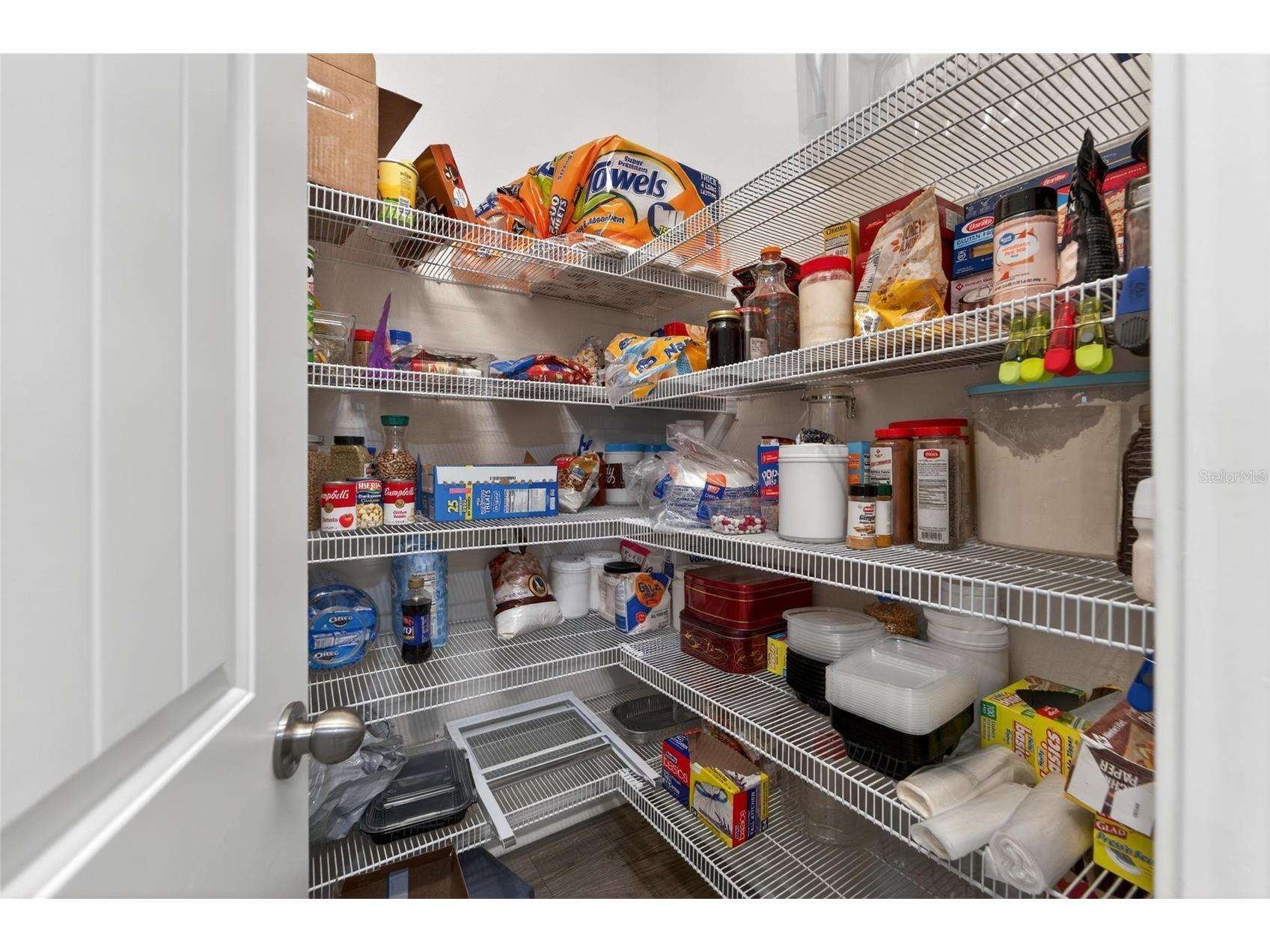 13017 Satin Lily Drive Riverview FL 33579 TB8505086 image13