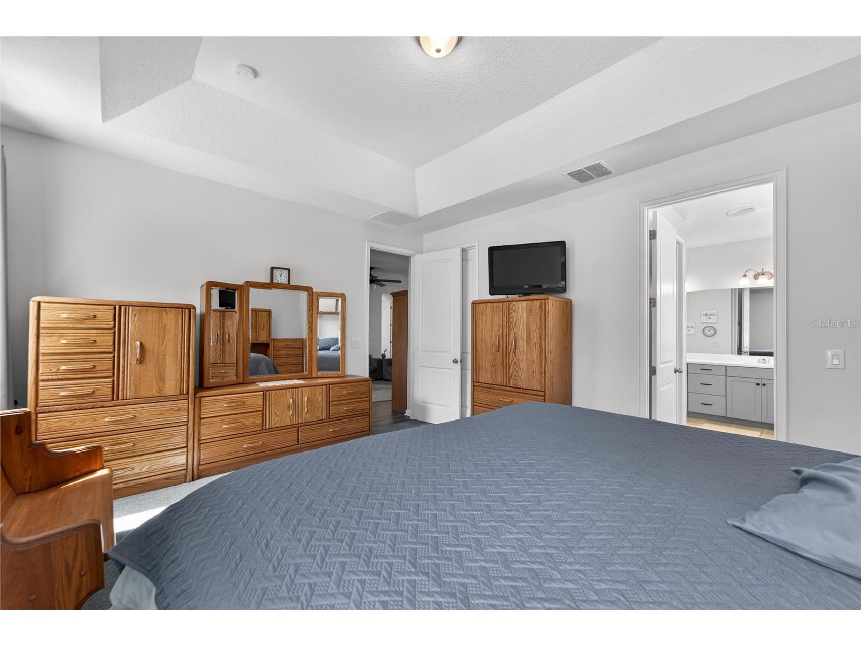 13017 Satin Lily Drive Riverview FL 33579 TB8505086 image25
