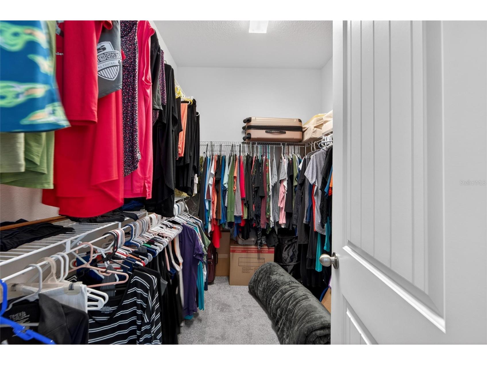 13017 Satin Lily Drive Riverview FL 33579 TB8505086 image26