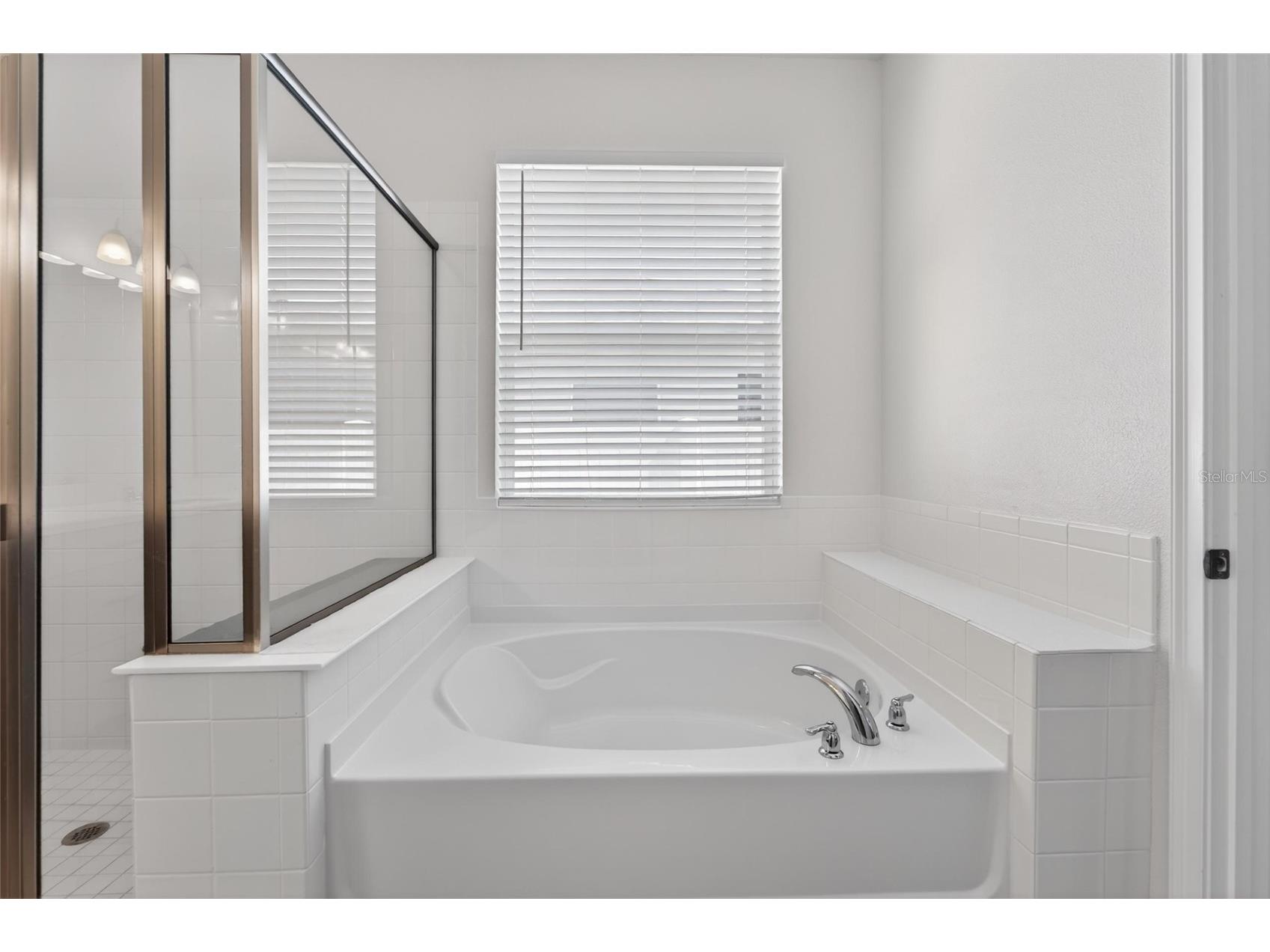 13017 Satin Lily Drive Riverview FL 33579 TB8505086 image29