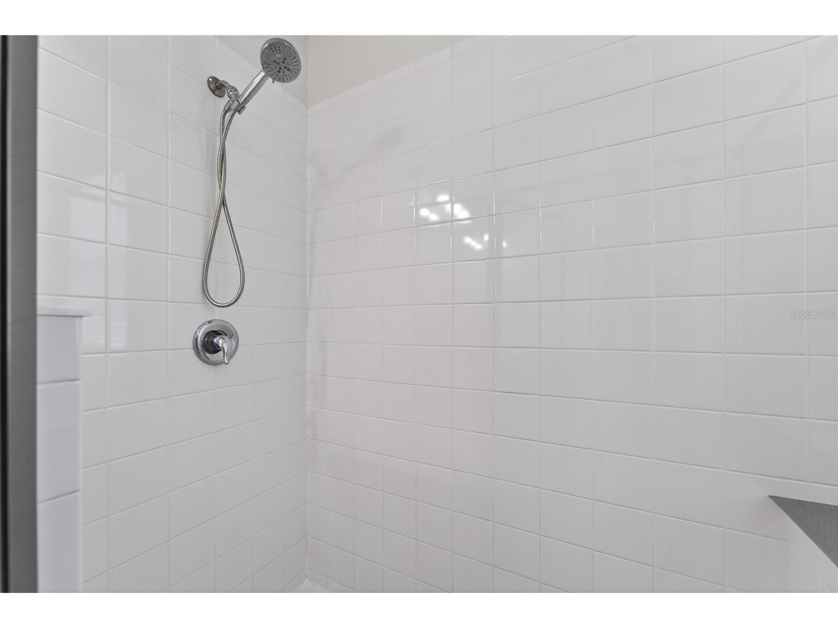 13017 Satin Lily Drive Riverview FL 33579 TB8505086 image31