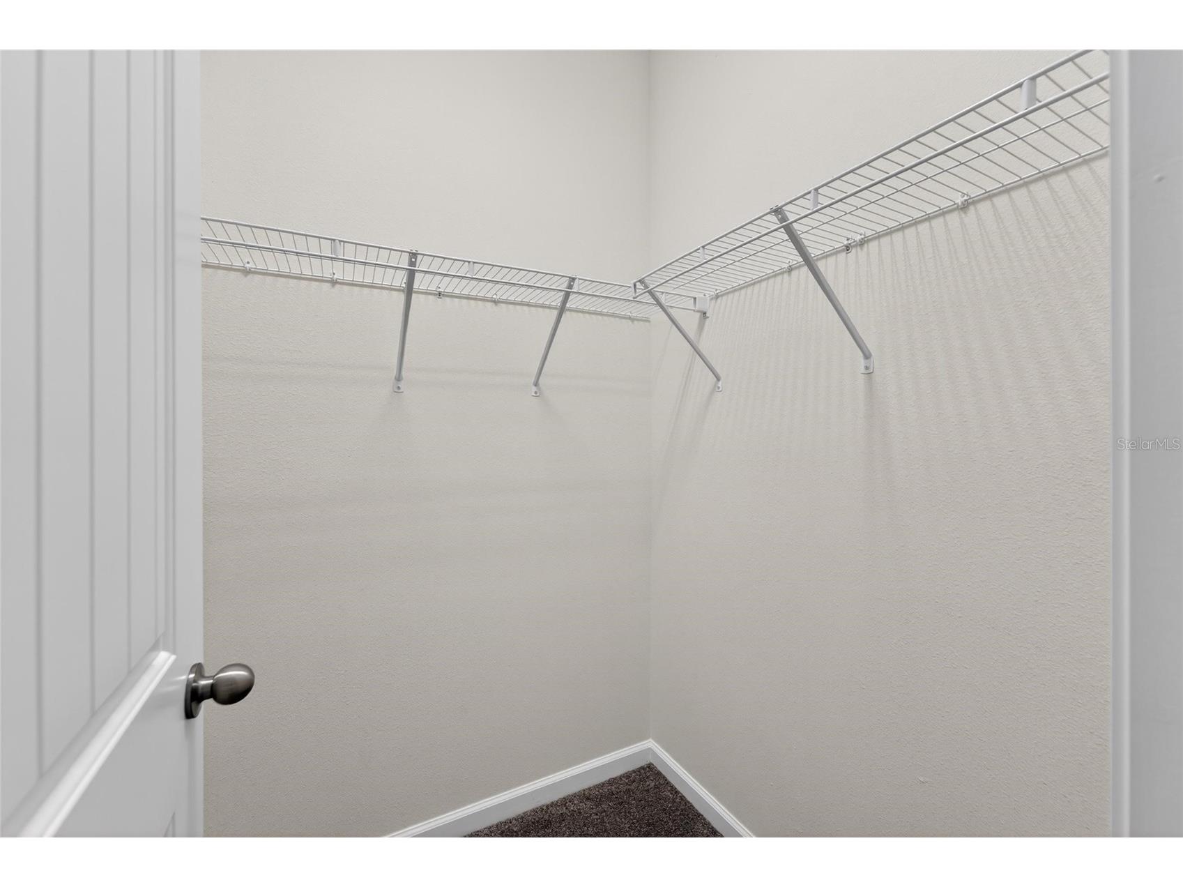 13017 Satin Lily Drive Riverview FL 33579 TB8505086 image36
