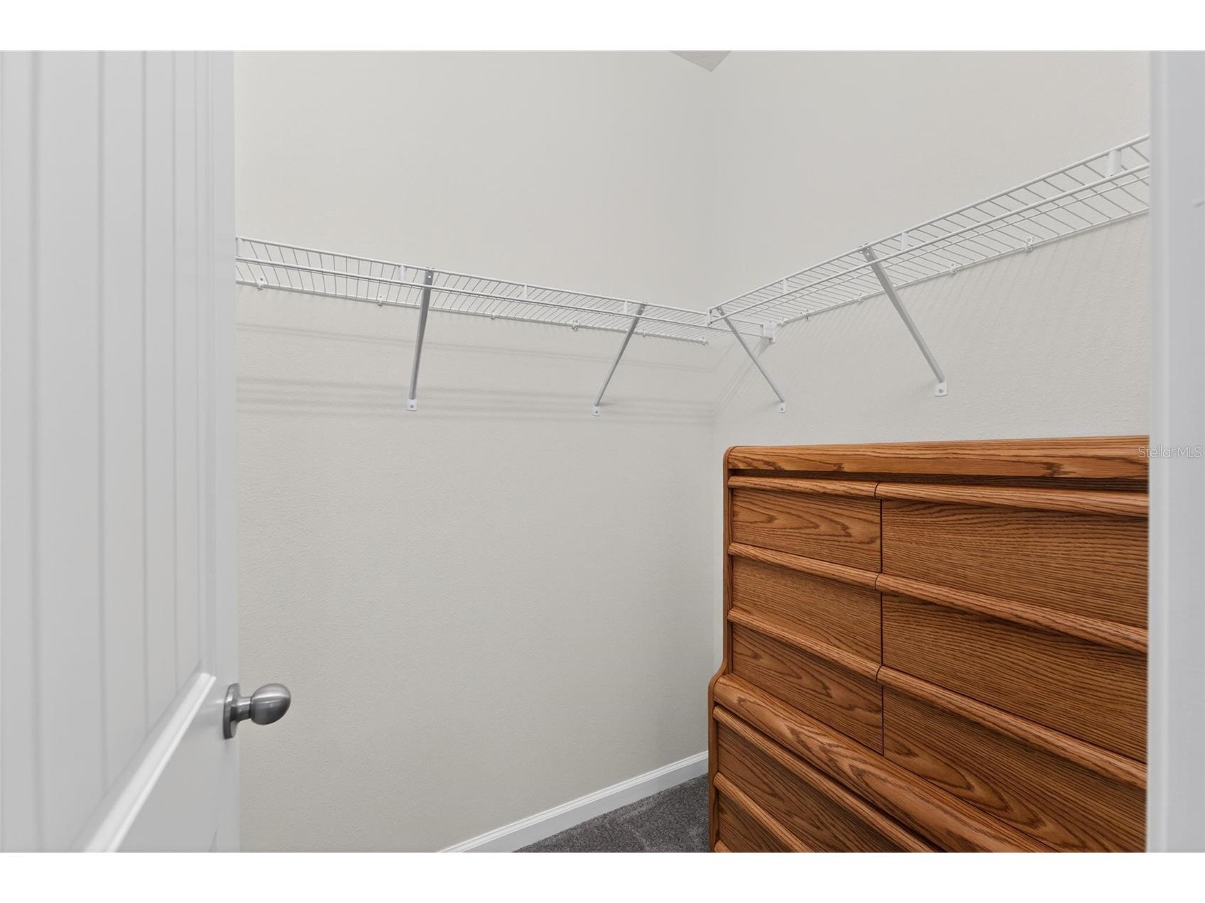 13017 Satin Lily Drive Riverview FL 33579 TB8505086 image40
