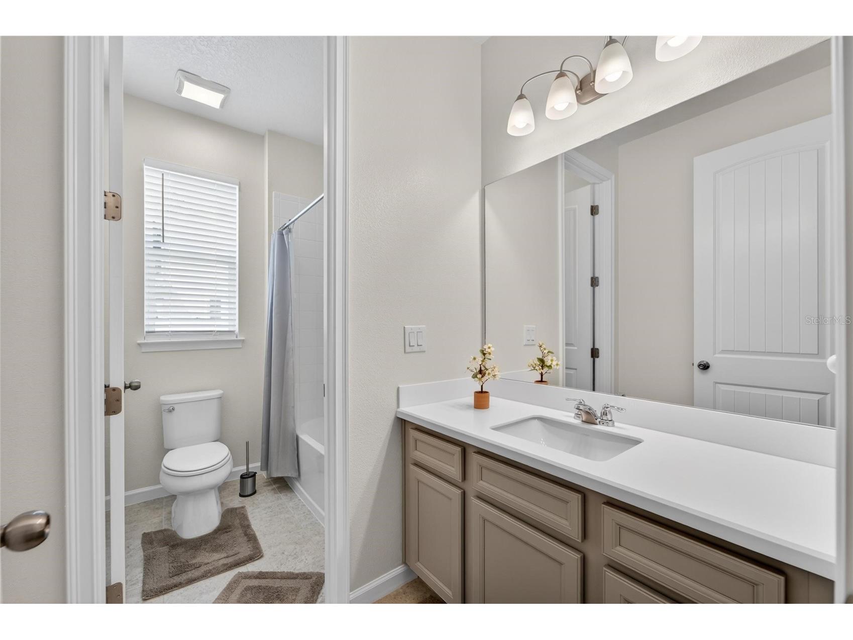 13017 Satin Lily Drive Riverview FL 33579 TB8505086 image41
