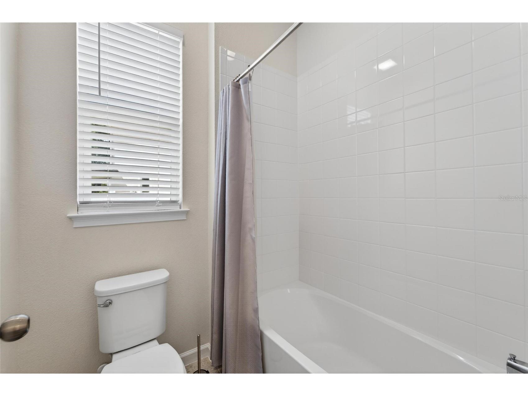 13017 Satin Lily Drive Riverview FL 33579 TB8505086 image43