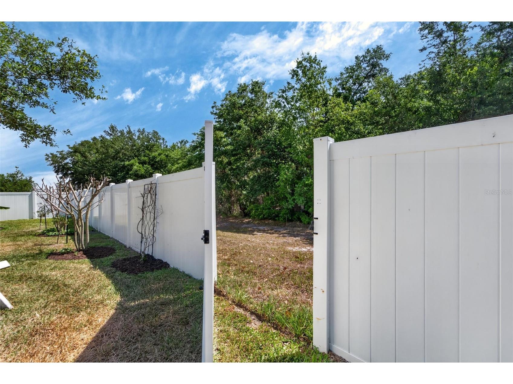13017 Satin Lily Drive Riverview FL 33579 TB8505086 image69