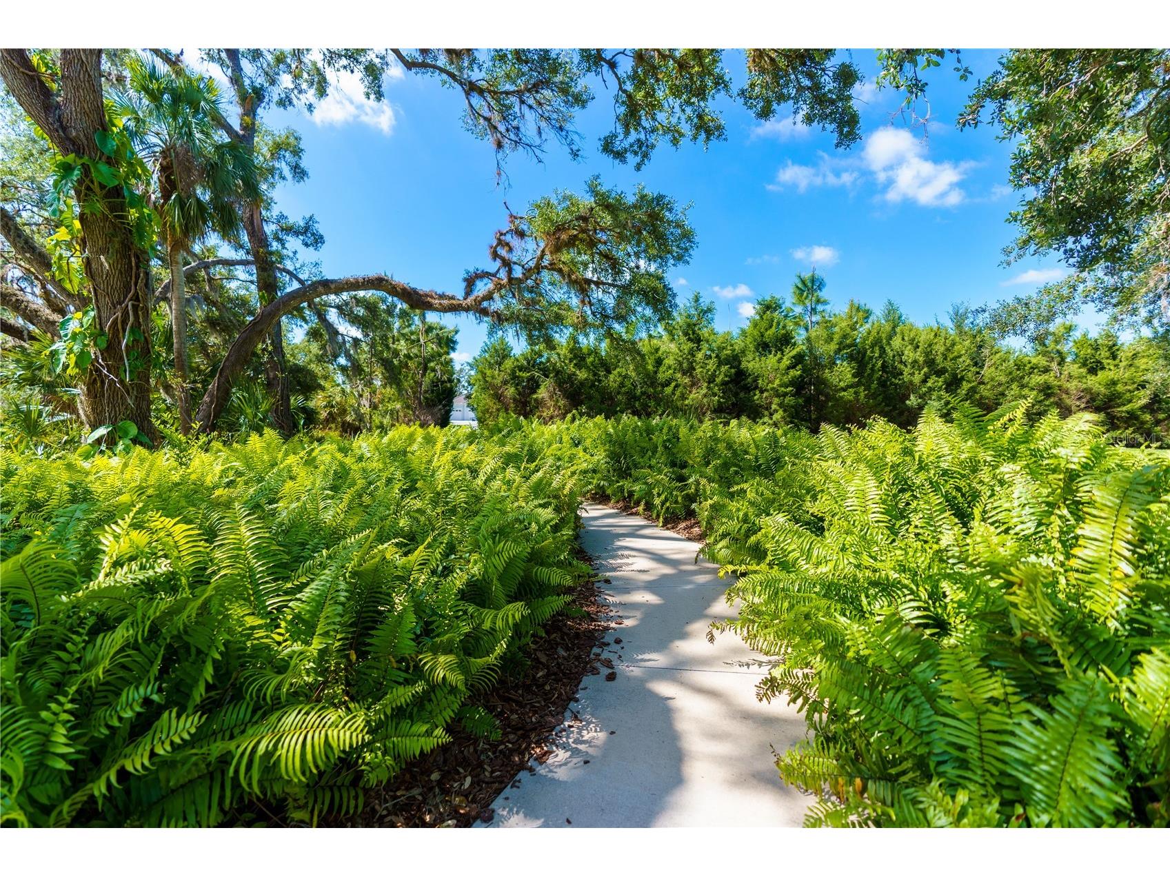 13017 Steinhatchee Loop Venice FL 34293 A4680540 image96