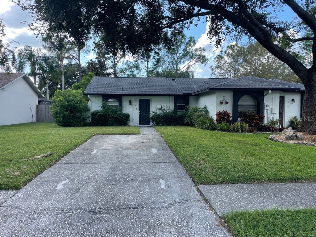 13018 Leverington Street Tampa FL 33624 OM711269 image1