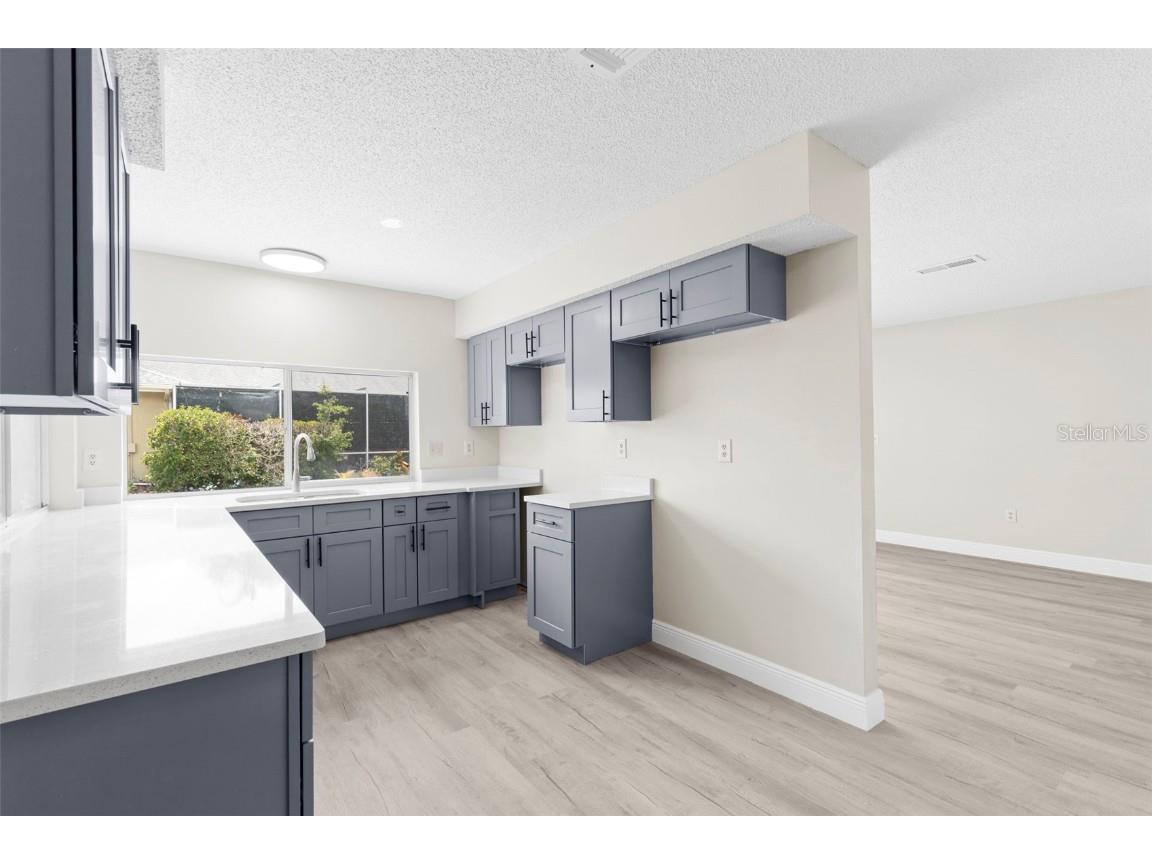 13018 Sirius Lane Hudson FL 34667 TB8441523 image10