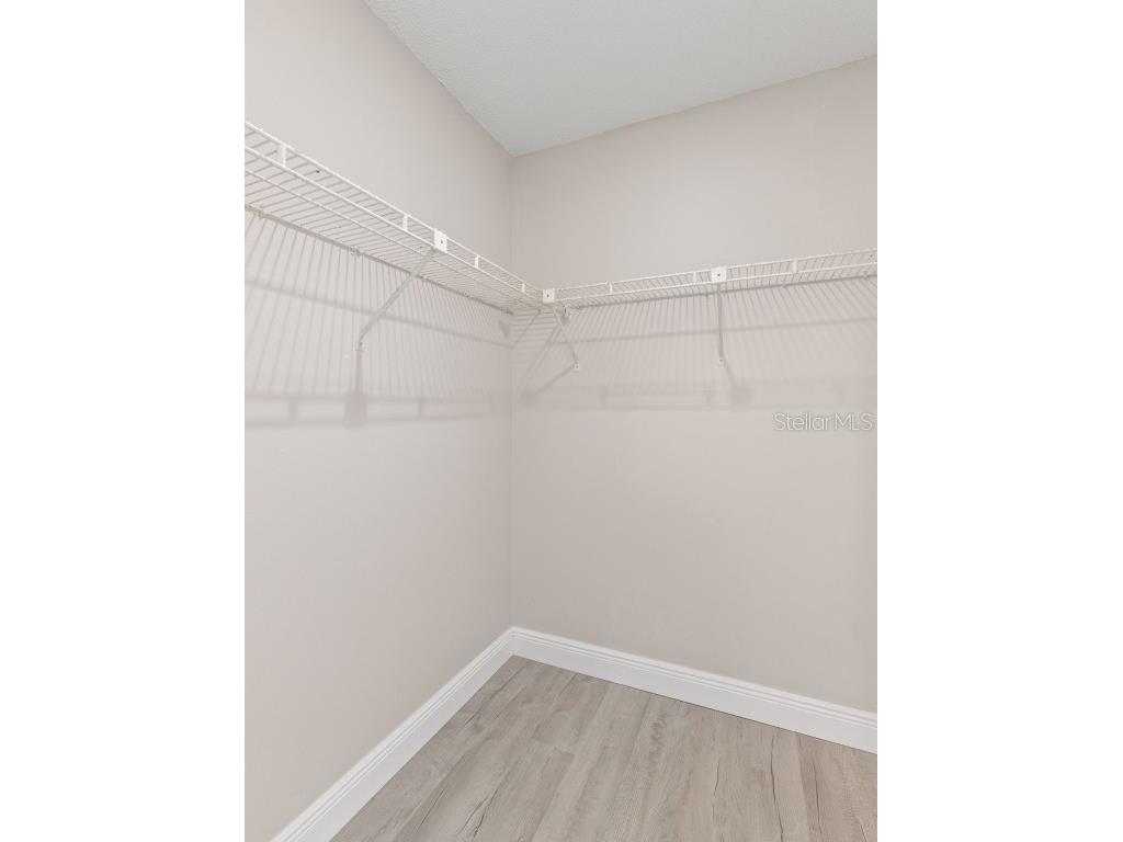 13018 Sirius Lane Hudson FL 34667 TB8441523 image17