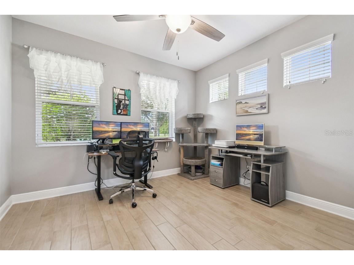 13019 Batten Lane Odessa FL 33556 W7879036 image11