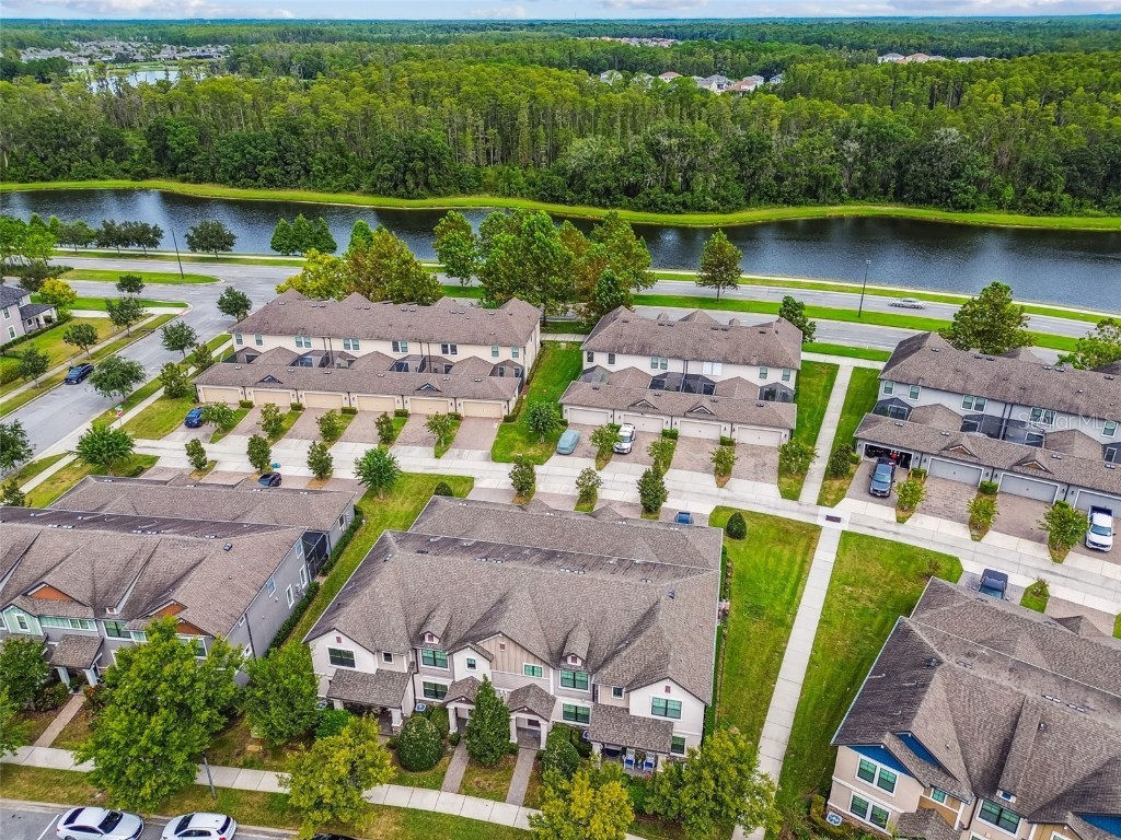 13019 Batten Lane Odessa FL 33556 W7879036 image48