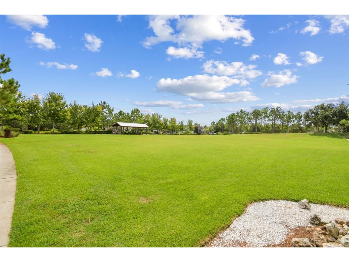 13019 Batten Lane Odessa FL 33556 W7879036 image50