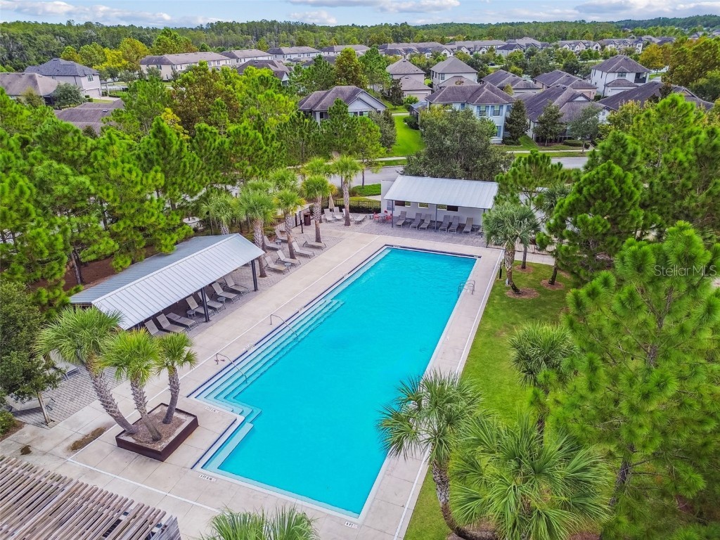 13019 Batten Lane Odessa FL 33556 W7879036 image52