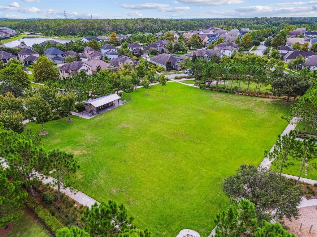 13019 Batten Lane Odessa FL 33556 W7879036 image56