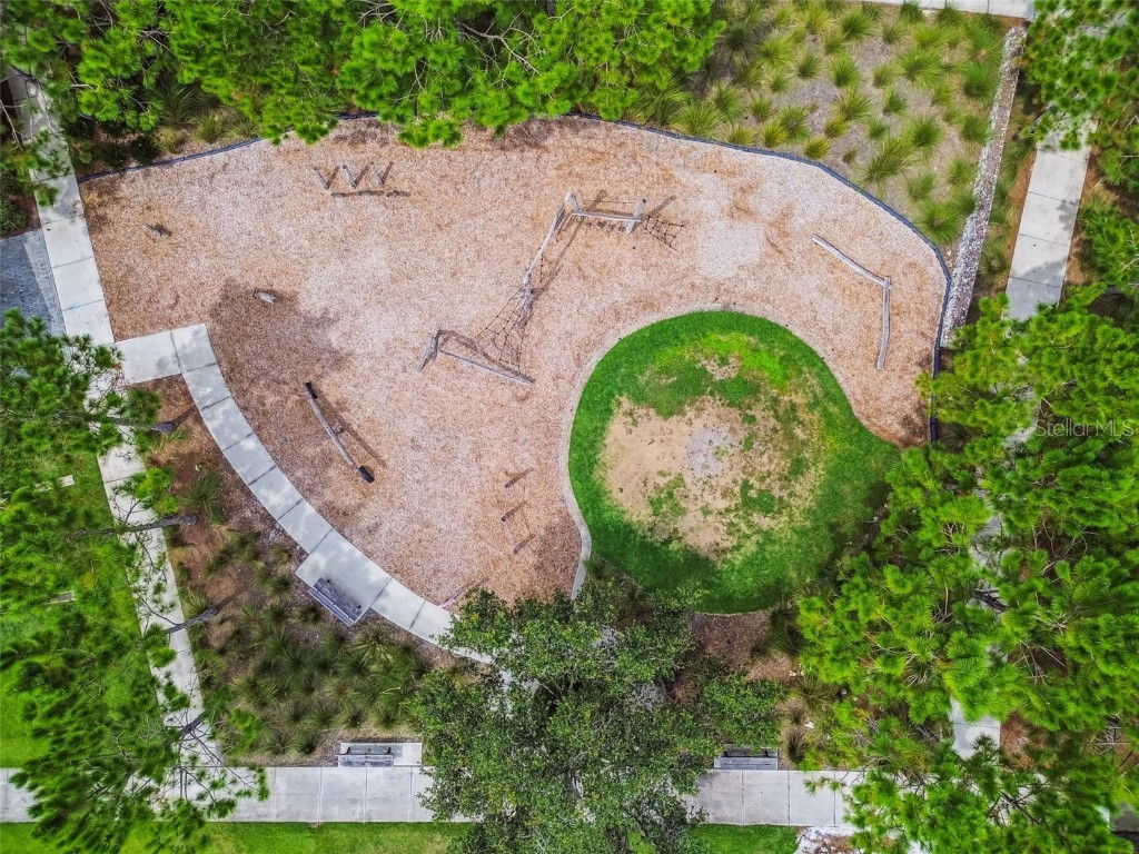 13019 Batten Lane Odessa FL 33556 W7879036 image59