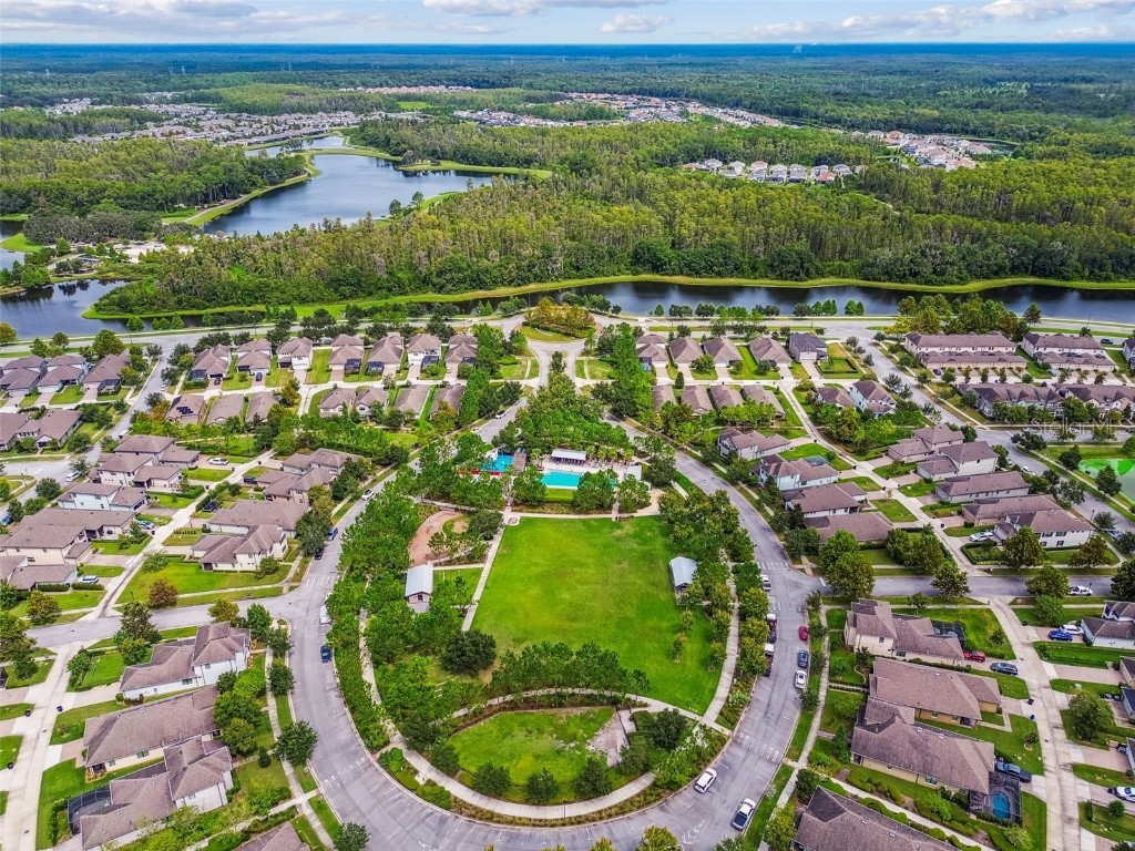 13019 Batten Lane Odessa FL 33556 W7879036 image62