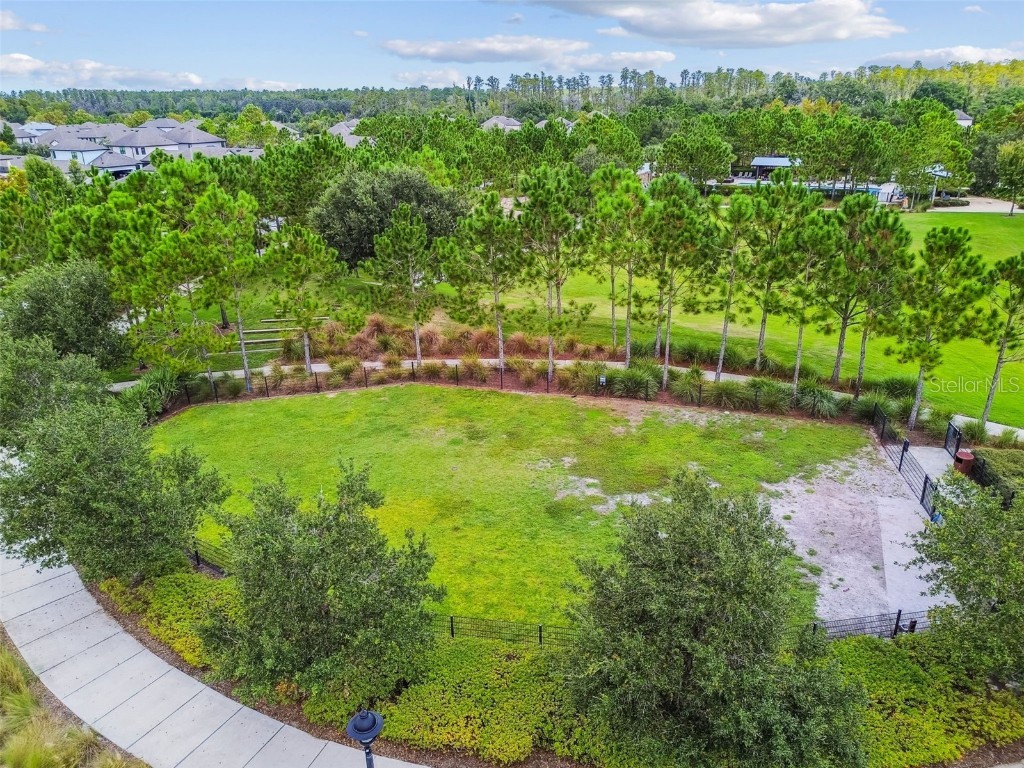 13019 Batten Lane Odessa FL 33556 W7879036 image65