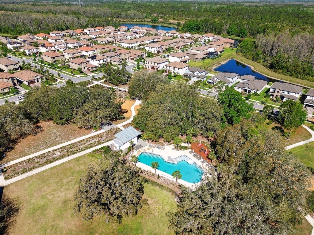 13019 Batten Lane Odessa FL 33556 W7879036 image66