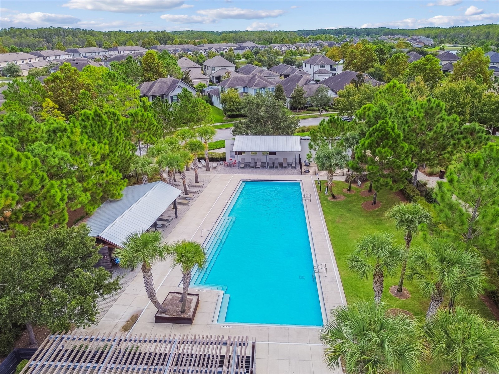 13019 Batten Lane Odessa FL 33556 W7882617 image47