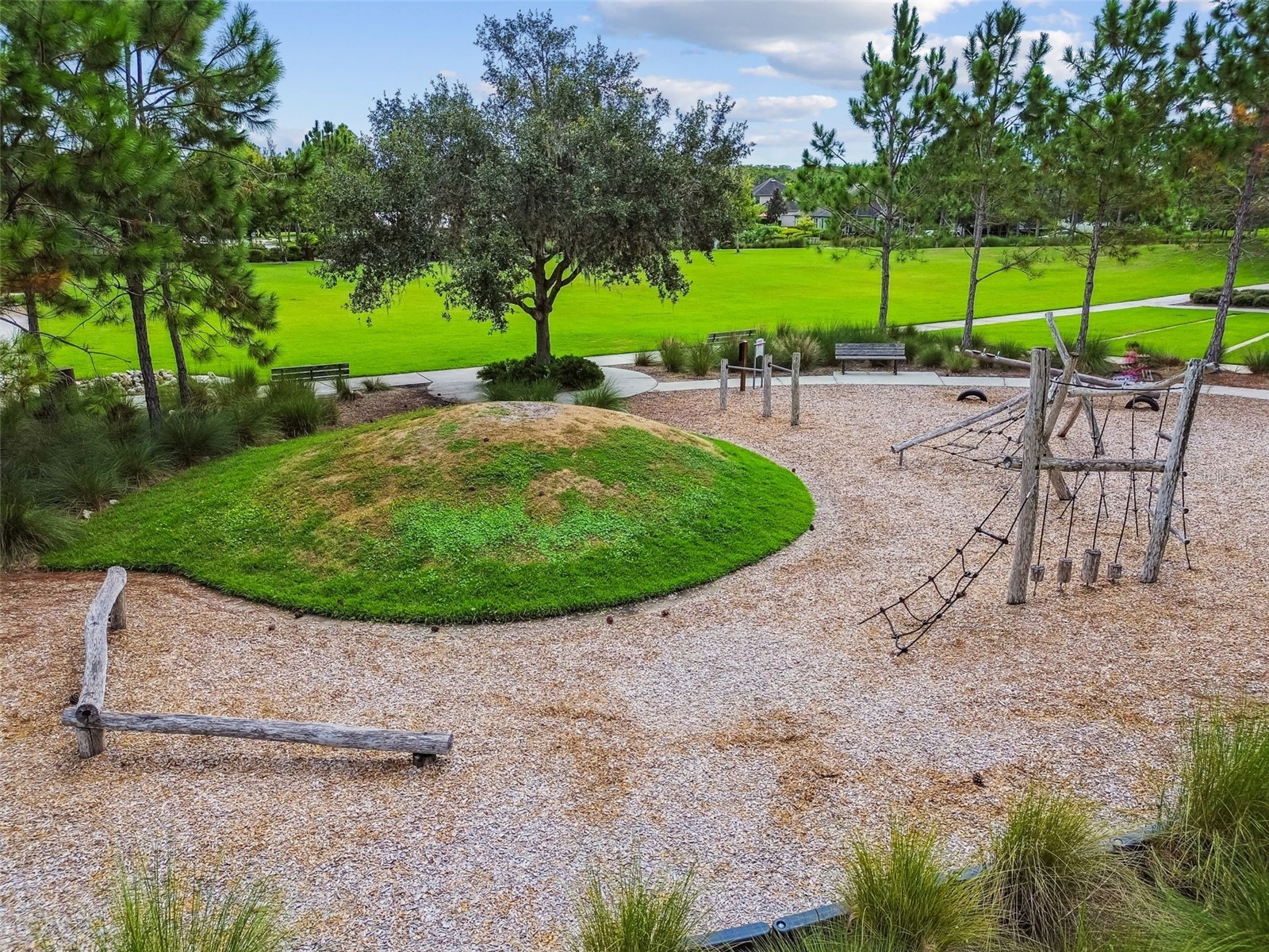 13019 Batten Lane Odessa FL 33556 W7882617 image56