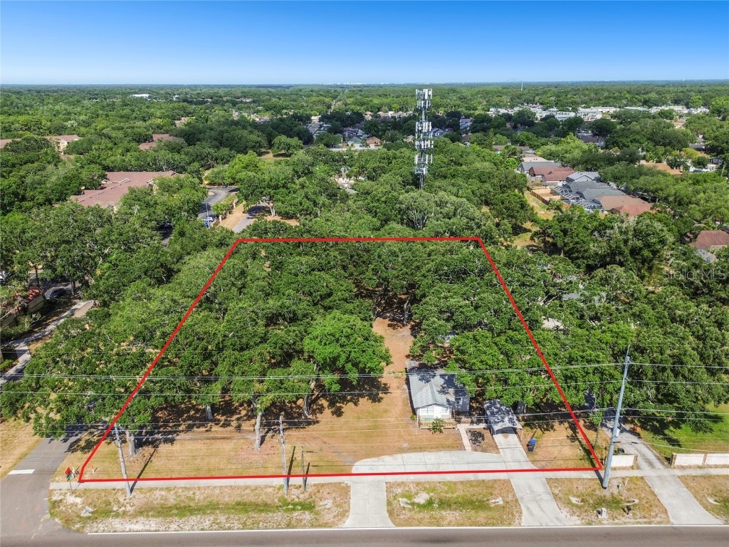 13019 Lynn Road Tampa FL 33624 T3533869 image1