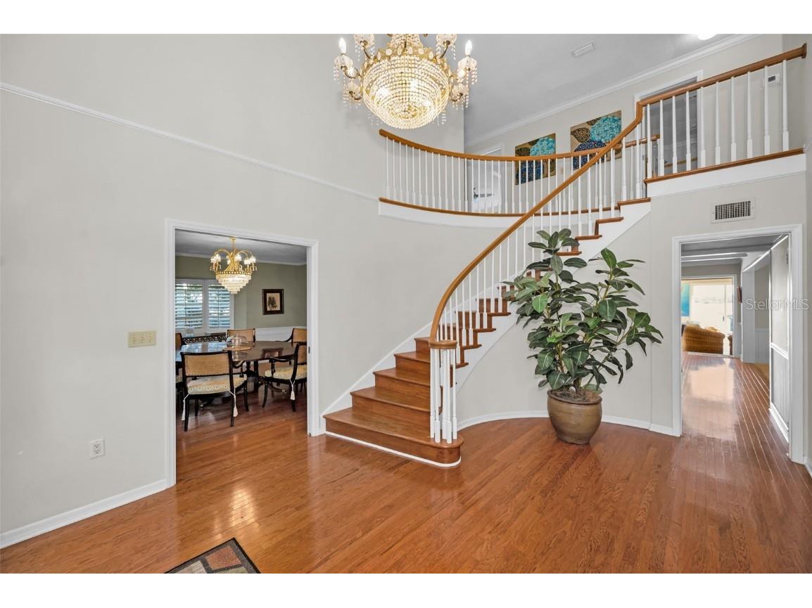 1302 Belcher Drive Tarpon Springs FL 34689 - ANCLOTE RIVER / GULF OF MEXICO TB8450473 image16