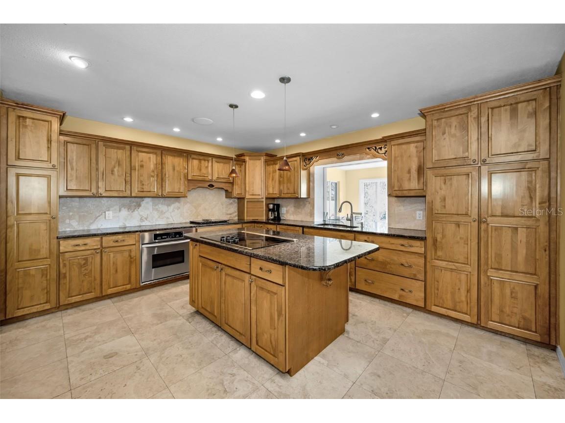 1302 Belcher Drive Tarpon Springs FL 34689 - ANCLOTE RIVER / GULF OF MEXICO TB8450473 image22