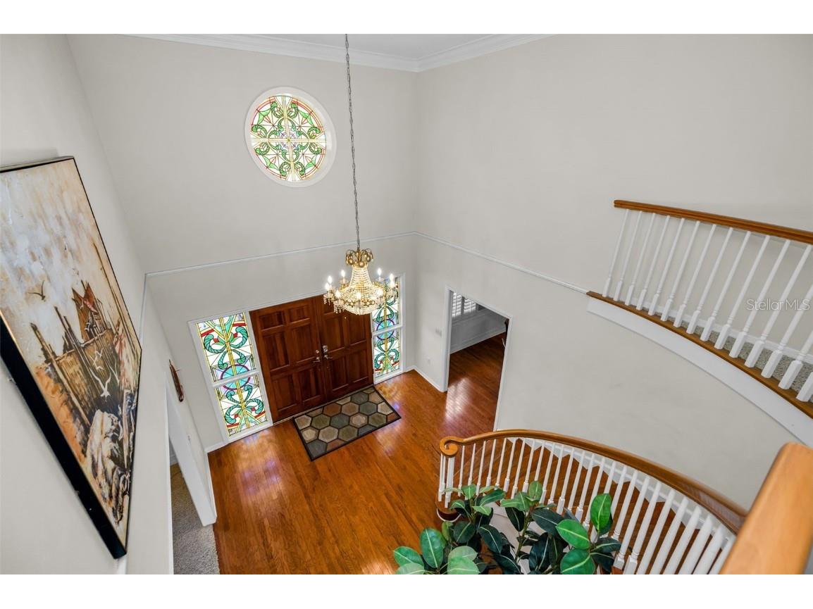 1302 Belcher Drive Tarpon Springs FL 34689 - ANCLOTE RIVER / GULF OF MEXICO TB8450473 image43