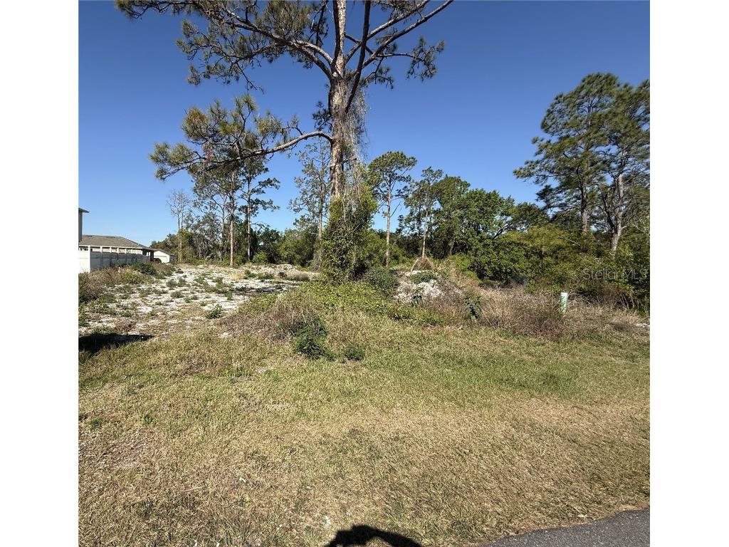 1302 Congo Court Kissimmee FL 34759 S5123581 image1