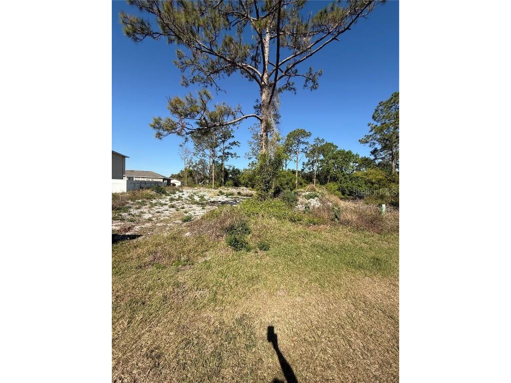 1302 Congo Court Kissimmee FL 34759 S5123581 image2