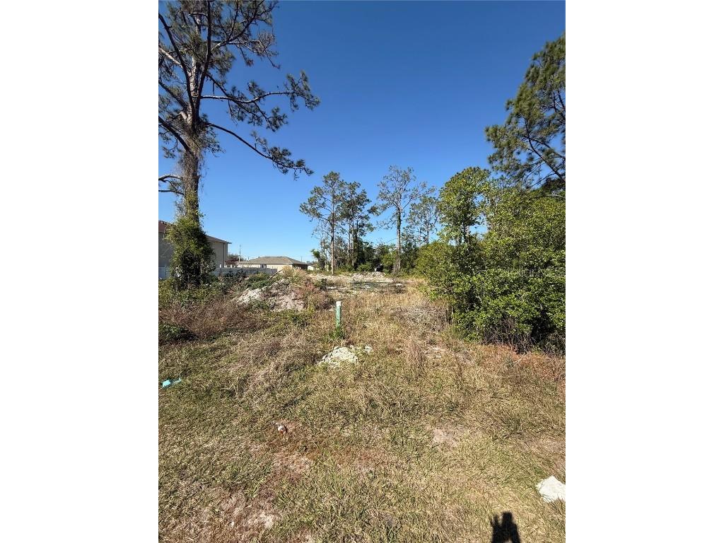 1302 Congo Court Kissimmee FL 34759 S5123581 image4