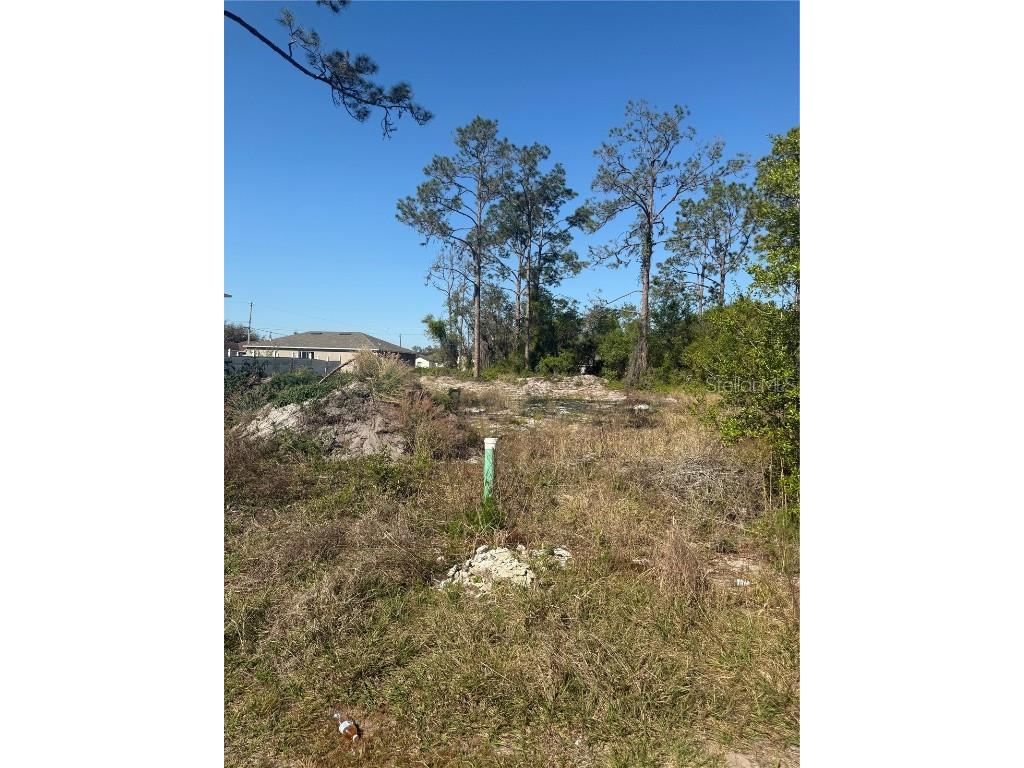 1302 Congo Court Kissimmee FL 34759 S5123581 image5