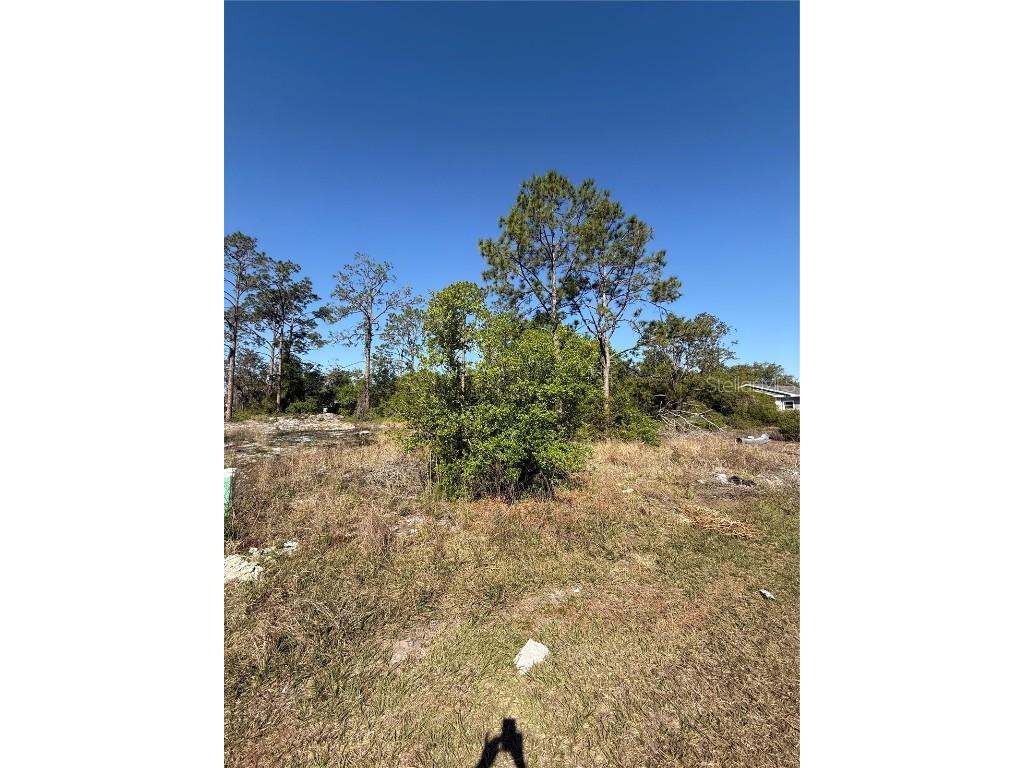 1302 Congo Court Kissimmee FL 34759 S5123581 image6