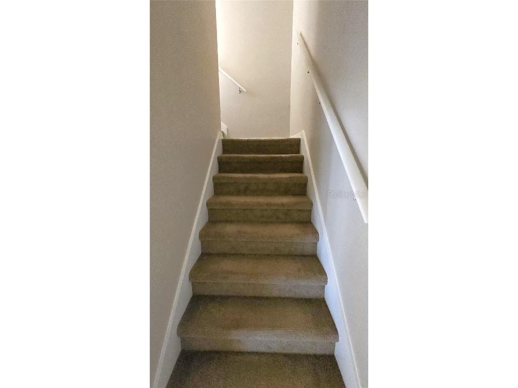 1302 Denman Court Wesley Chapel FL 33543 TB8449829 image16