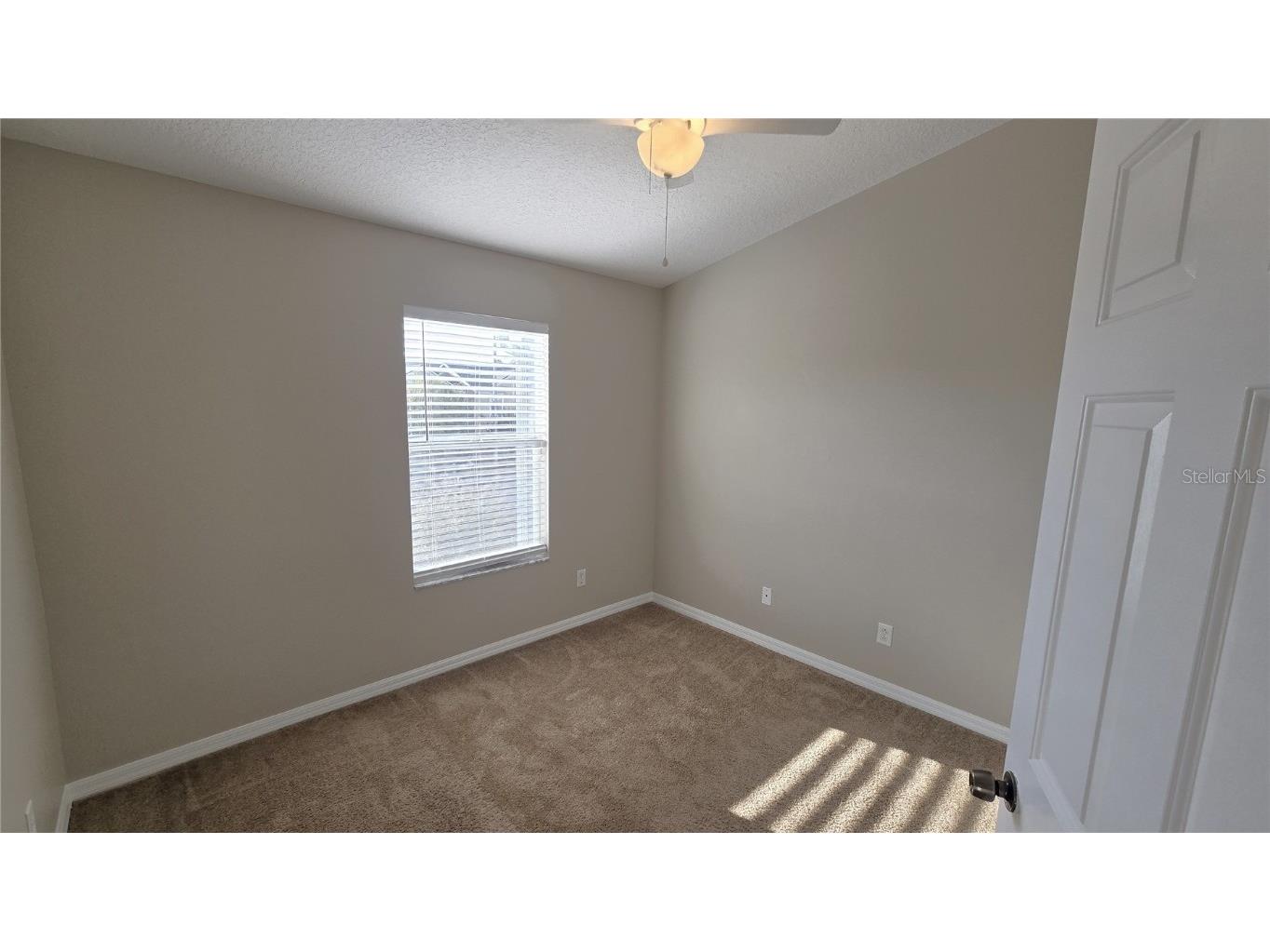 1302 Denman Court Wesley Chapel FL 33543 TB8449829 image17