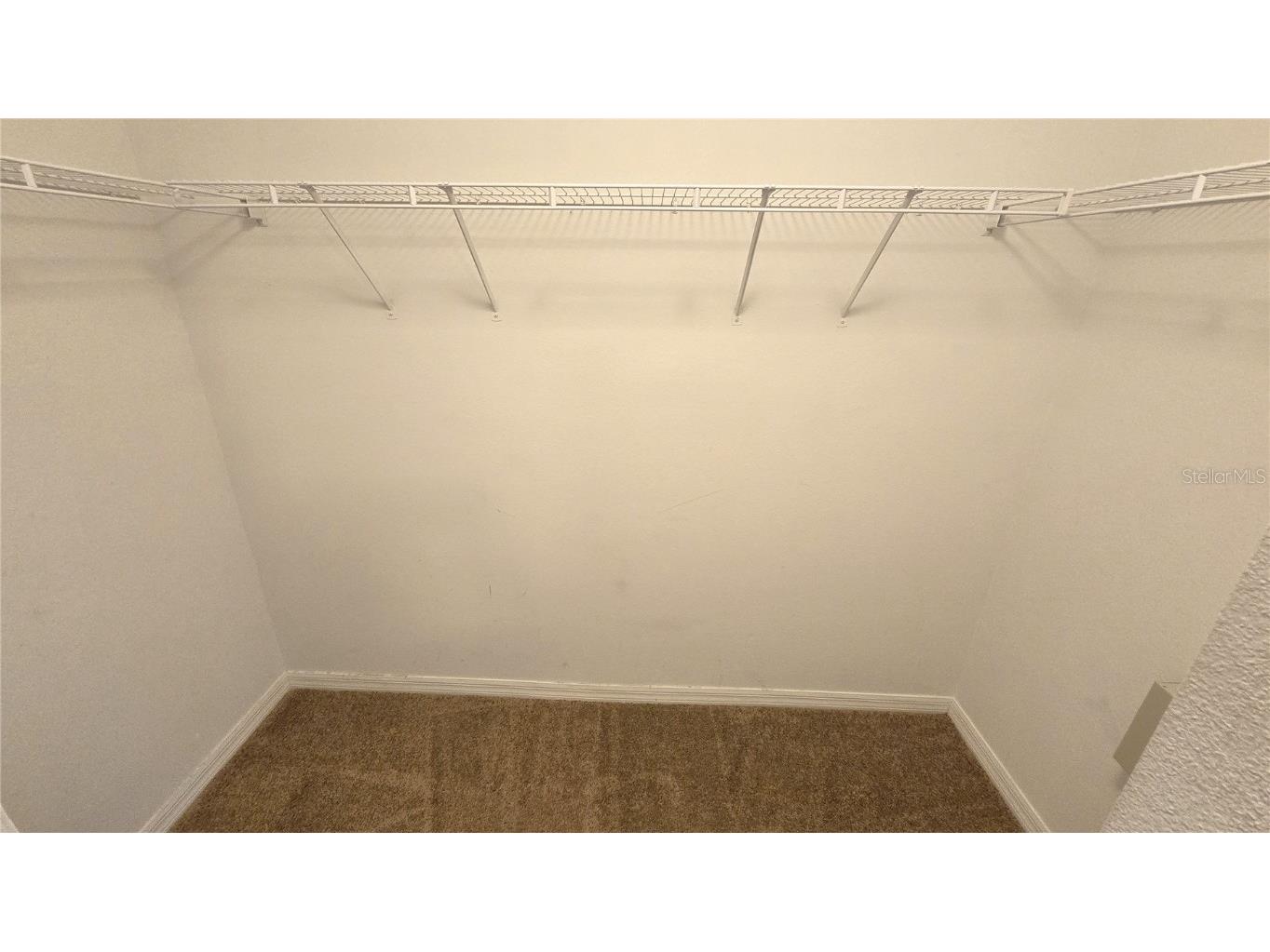 1302 Denman Court Wesley Chapel FL 33543 TB8449829 image24