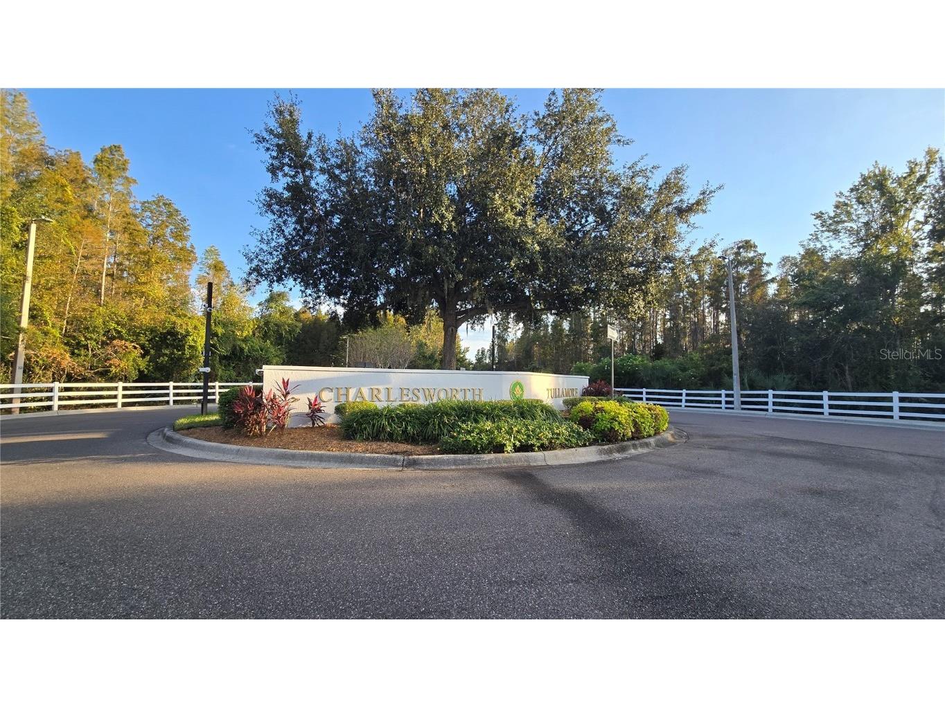 1302 Denman Court Wesley Chapel FL 33543 TB8449829 image27