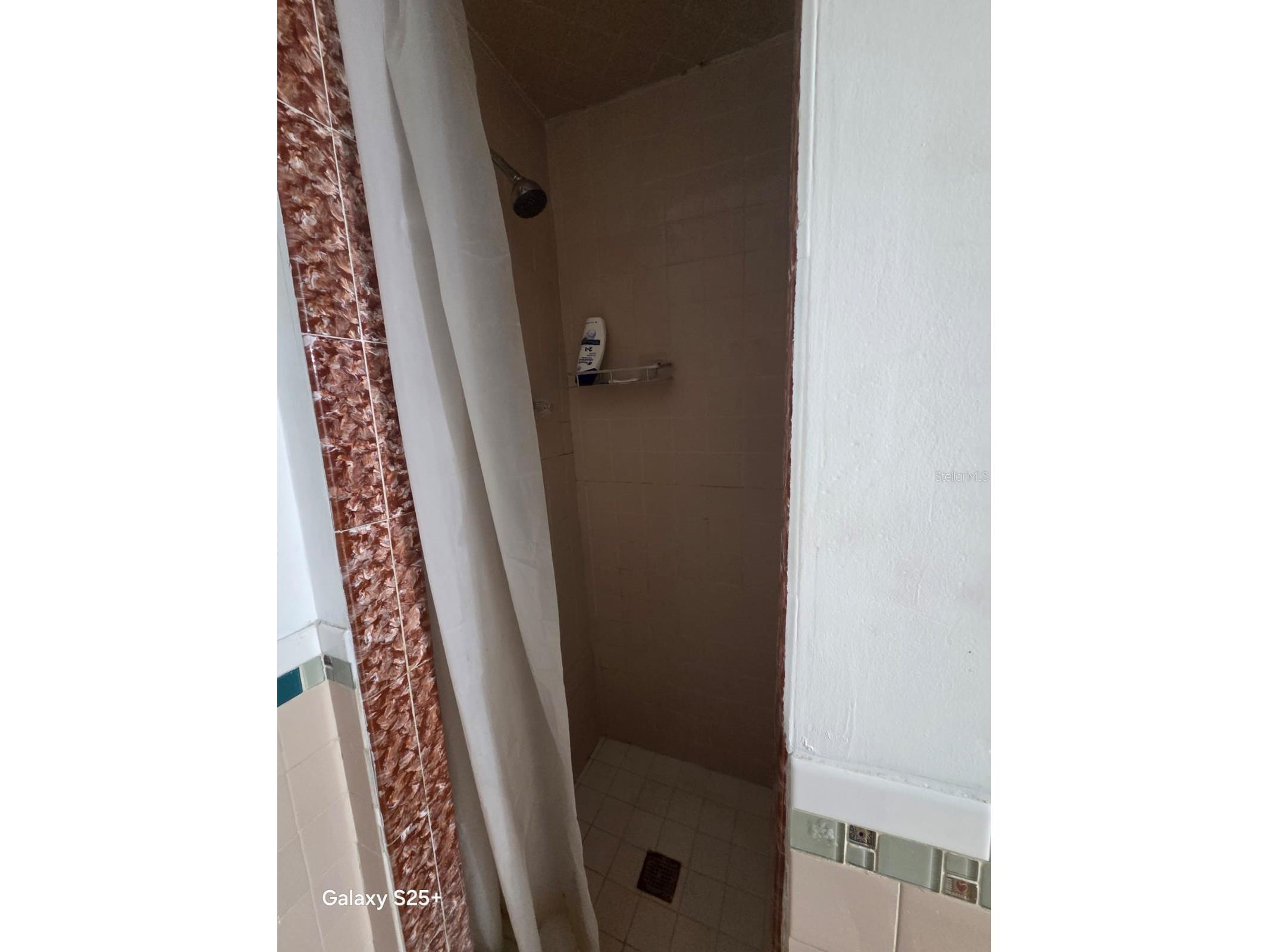 1302 E 26th Avenue Tampa FL 33605 TB8514679 image21