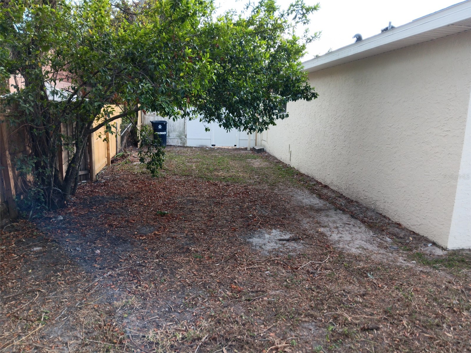 1302 E Annie Street Tampa FL 33612 TB8327826 image26