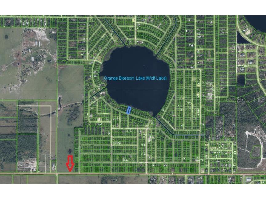 1302 Lakeside Drive S Sebring FL 33875 - LAKE WOLF P4936750 image4