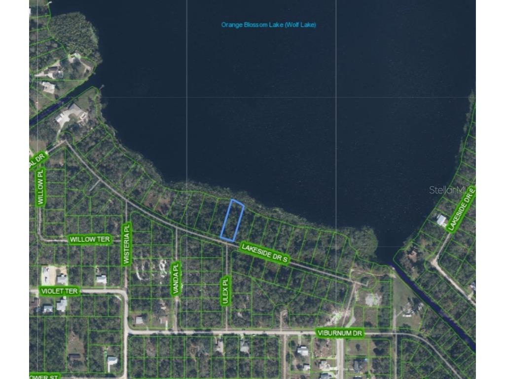 1302 Lakeside Drive S Sebring FL 33875 - LAKE WOLF P4936750 image5