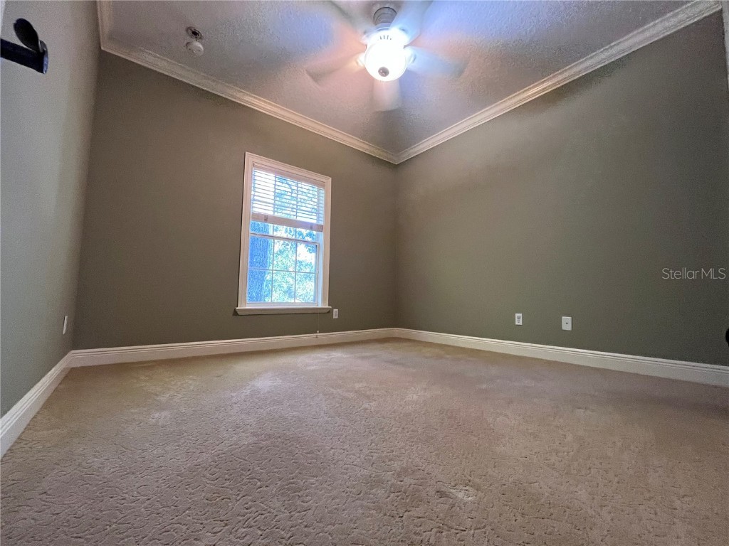 1302 Michigan Avenue Winter Park FL 32789 O6371456 image11