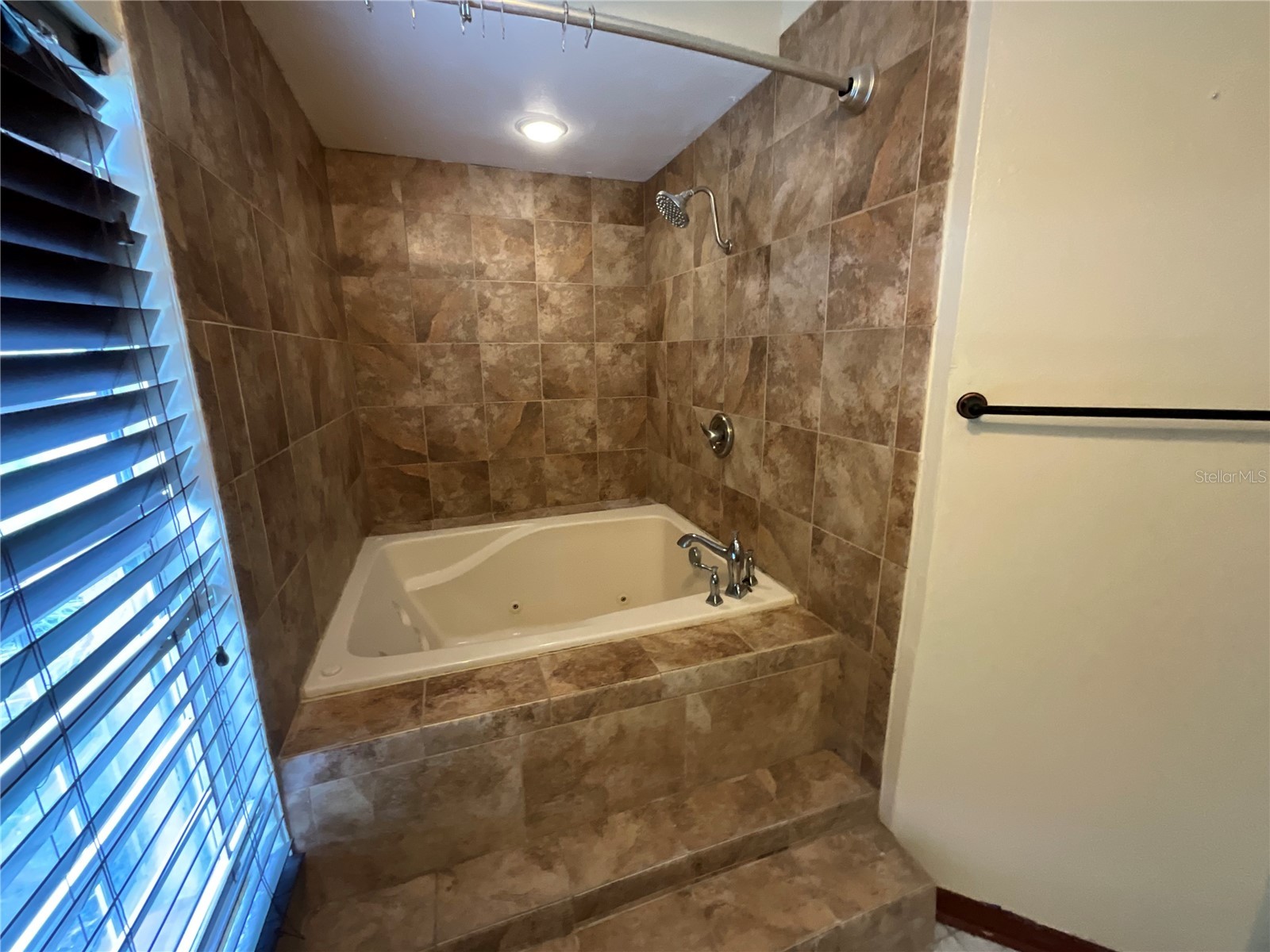 1302 Norwick Drive Lutz FL 33559 TB8531910 image10