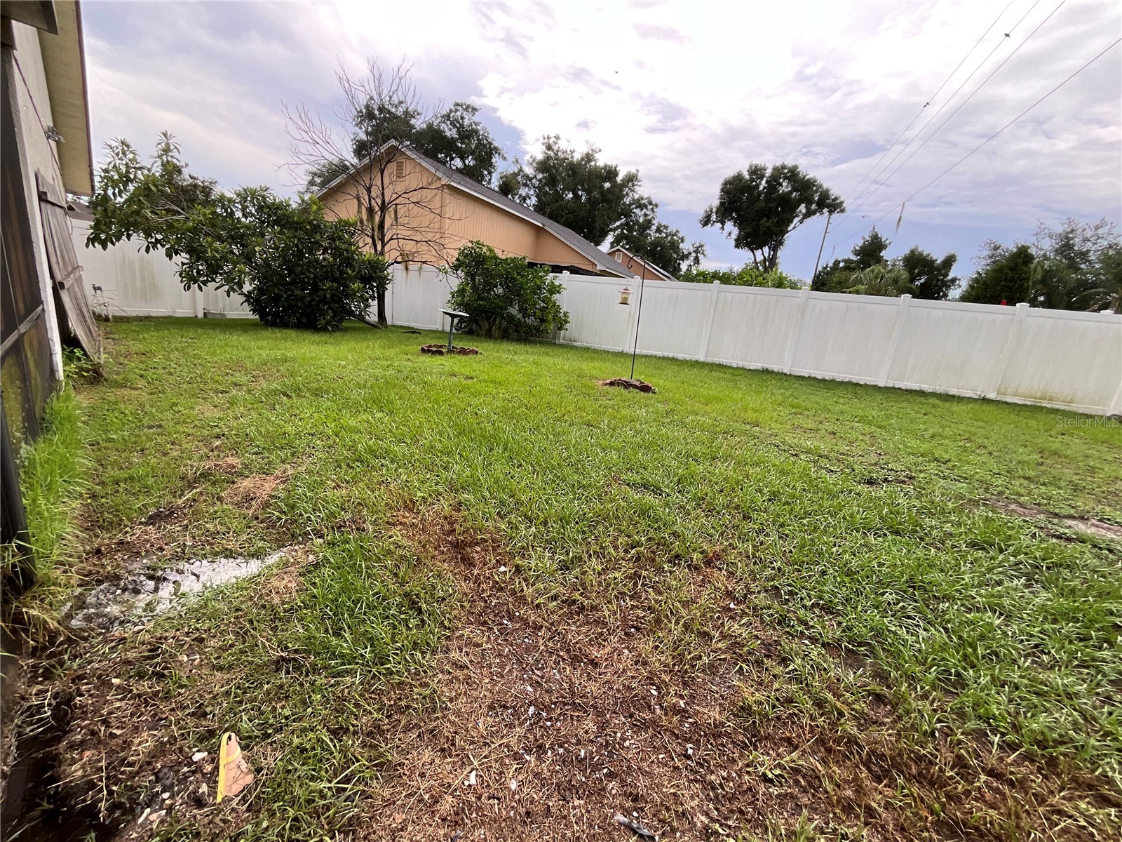 1302 Norwick Drive Lutz FL 33559 TB8531910 image13