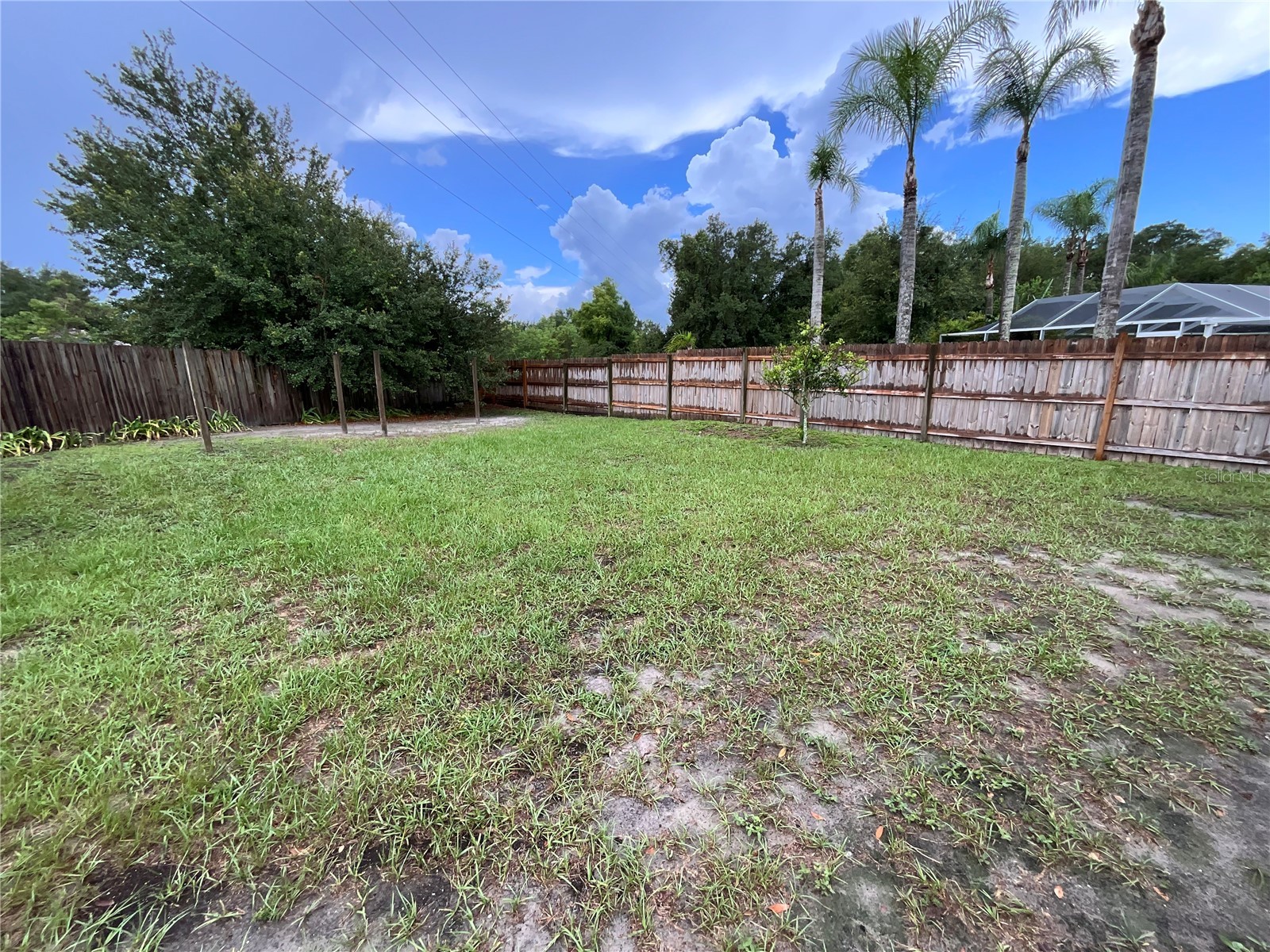1302 Norwick Drive Lutz FL 33559 TB8531910 image14