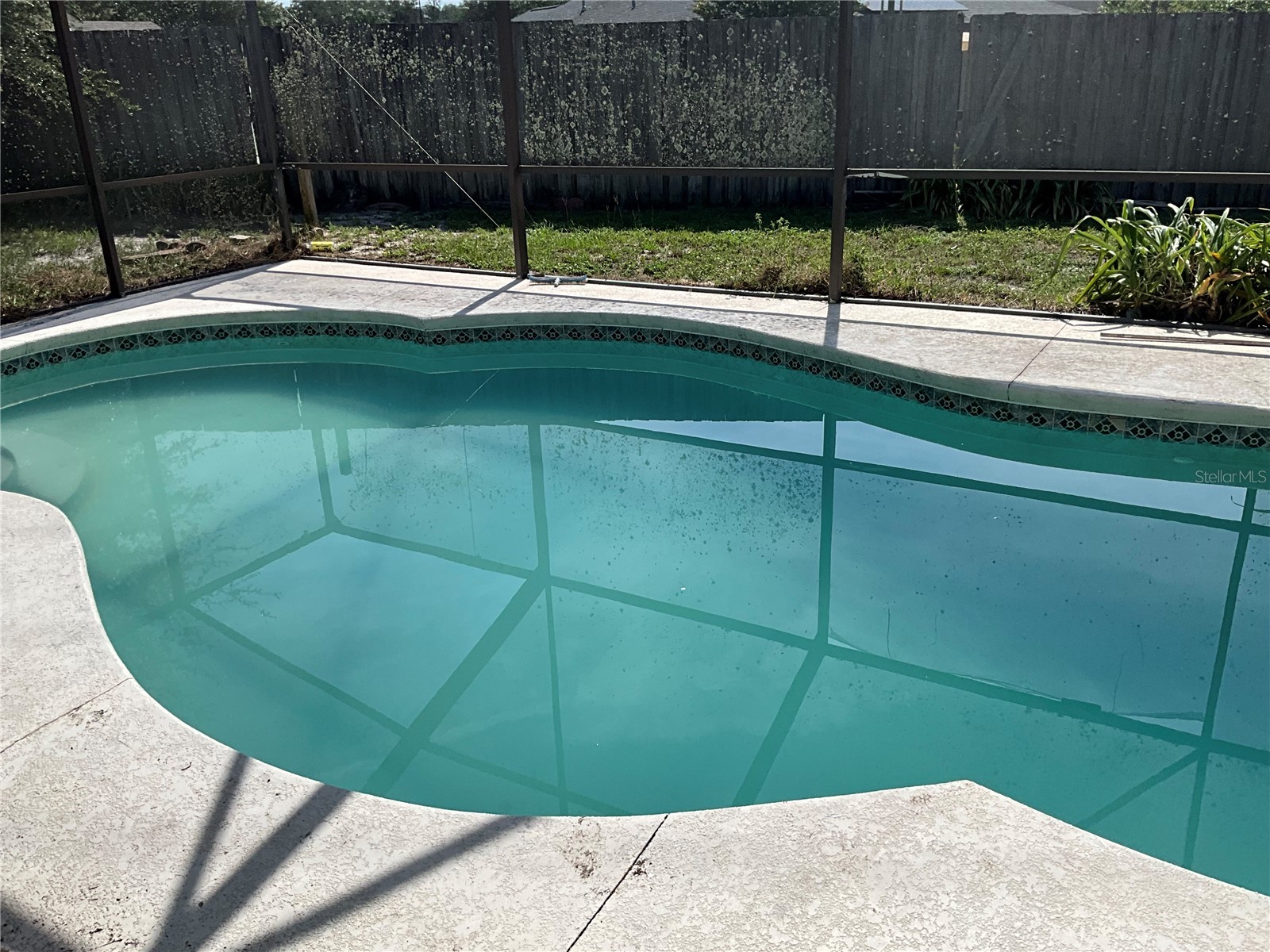 1302 Norwick Drive Lutz FL 33559 TB8531910 image2