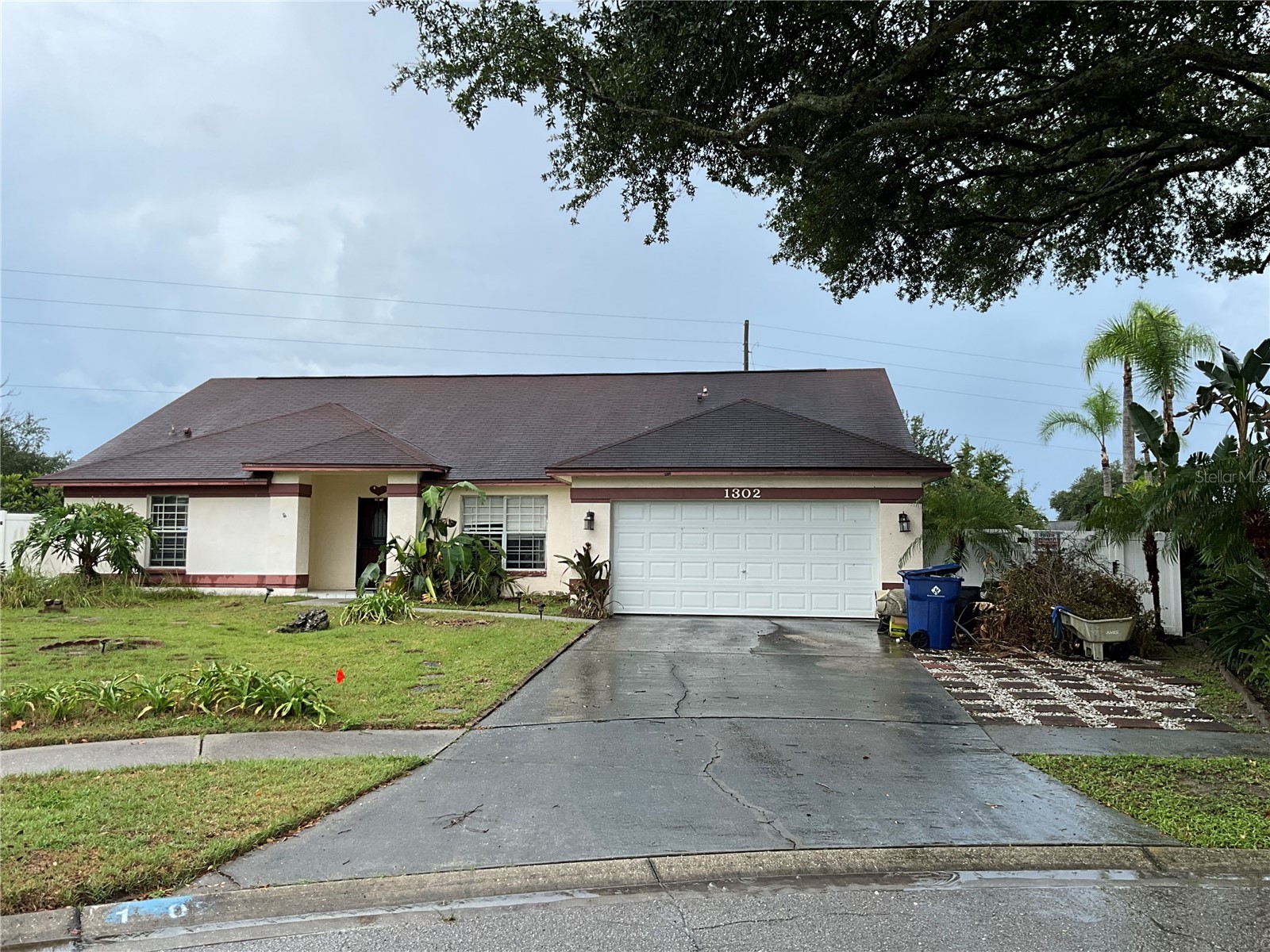 1302 Norwick Drive Lutz FL 33559 TB8531910 image3