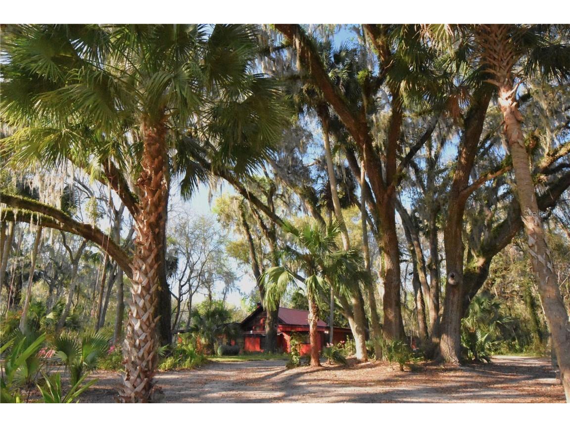 1302 SE Wacahoota Road Micanopy FL 32667 GC528567 image1