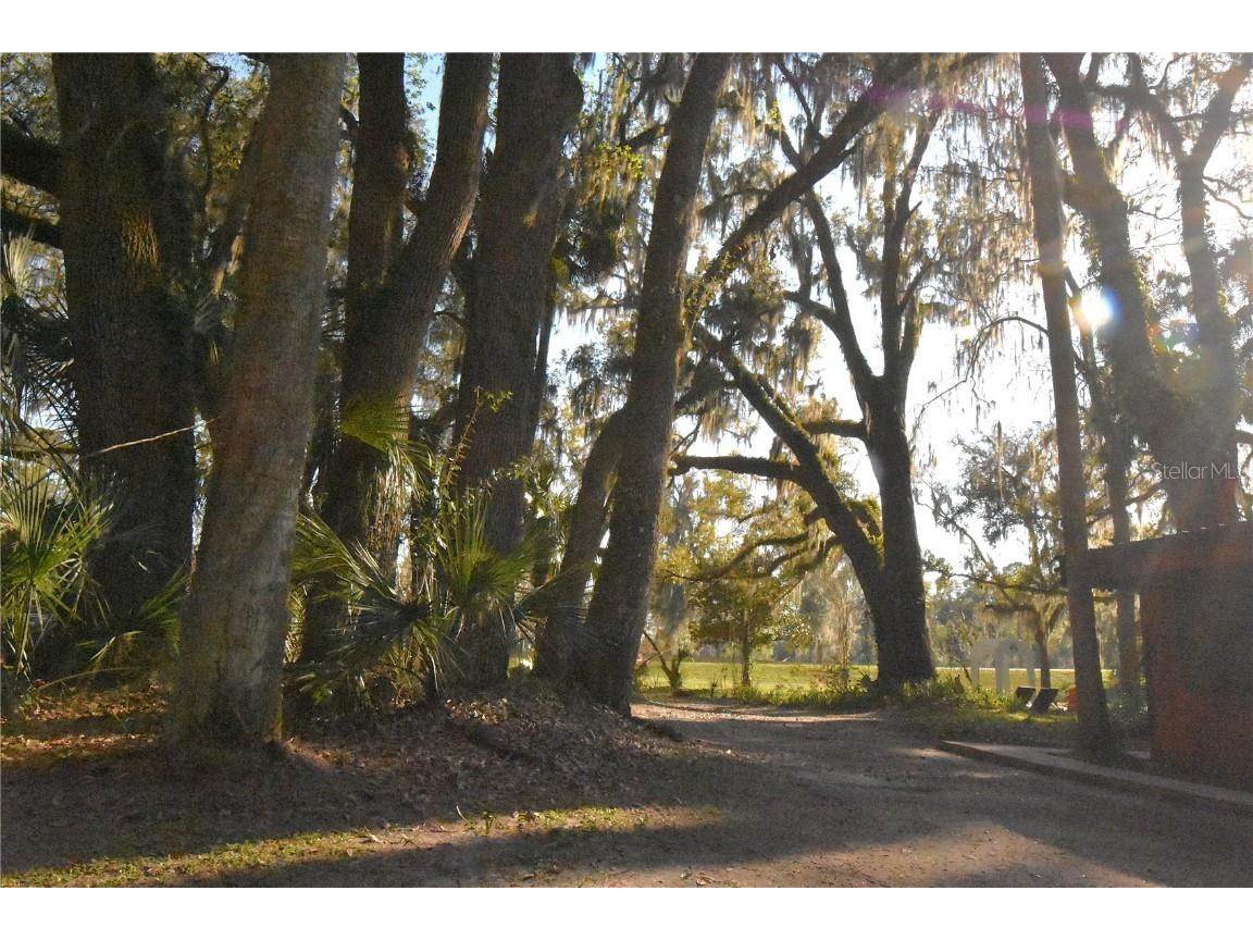 1302 SE Wacahoota Road Micanopy FL 32667 GC528567 image29